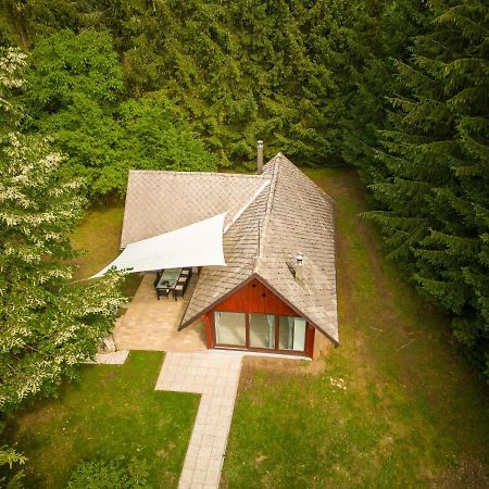 Villa Cebelnk: Sanjska Hisica 4 Km Od Bleda Lesce  Esterno foto